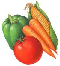 სტაფილო, მყარი კვება, ბავშვთა კვება, სოლიდსტარტს, რეცეპტი,