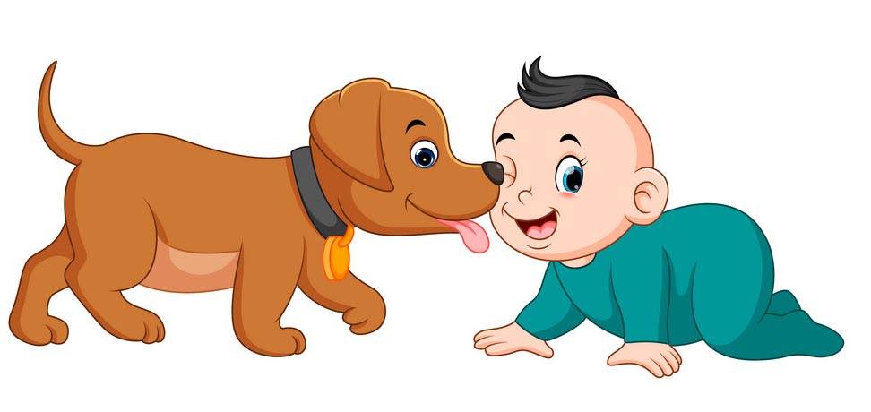 ძაღლი და ბავშვი, ძაღლი, 