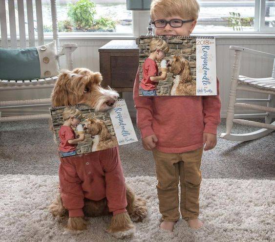 -შინაური ცხოველი და ბავშვი, შინაური ცხოველი, 