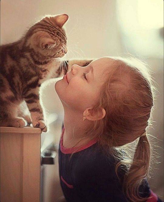 ცხოველი, ბავშვი, შინაური ცხოველი, 