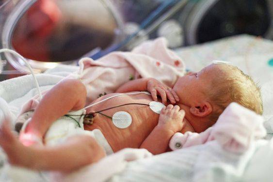 დღენაკლი, nicu, 