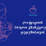 https://modernmoms.ge/dzudzusthavebis-nakhethqebi/